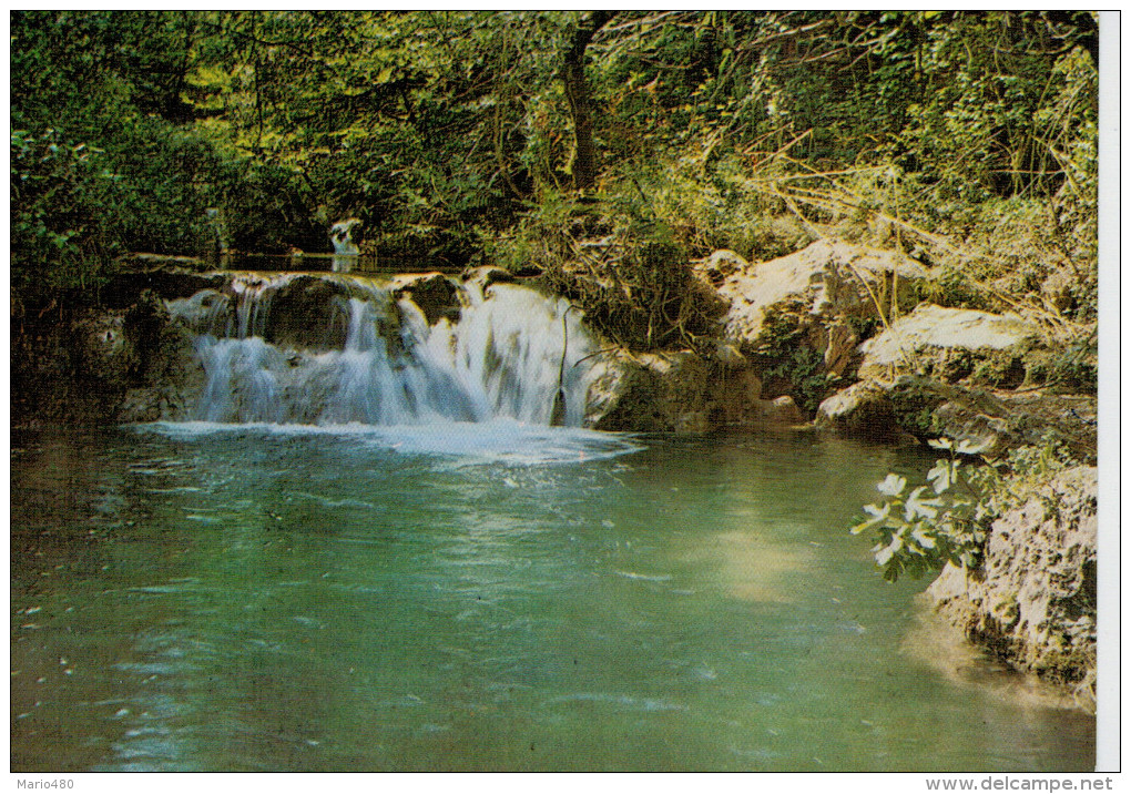 COTIGNAC    CASCADE DU MOULIN SUR LA CASSOLLE          (VIAGGIATA) - Cotignac