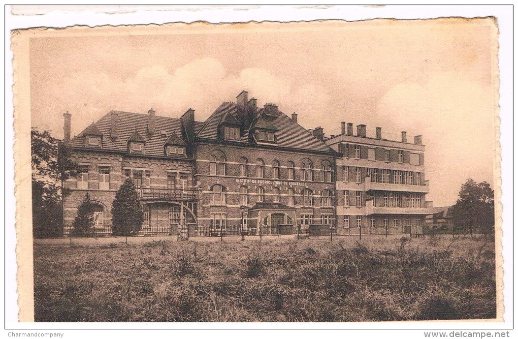 Institut De Puériculture De Bruxelles, 45-47 Avenue Chant D'Oiseau, Circulée En 1949 - 2 Scans - Woluwe-St-Pierre - St-Pieters-Woluwe