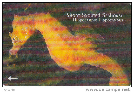 JERSEY ISL. - Year Of The Ocean/Short Snouted Seahorse, CN : 65JERC(0 With Barred), Tirage %25000, Used - [ 7] Jersey And Guernsey