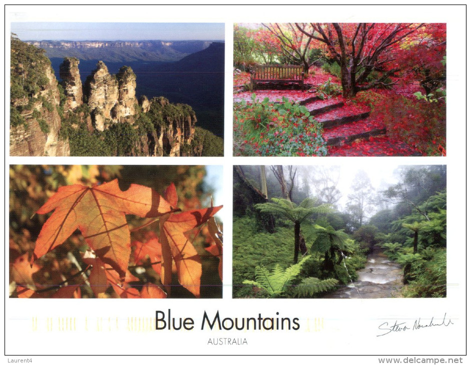 (PH 400) Australia - NSW - Blue Mountains Trees - Trees