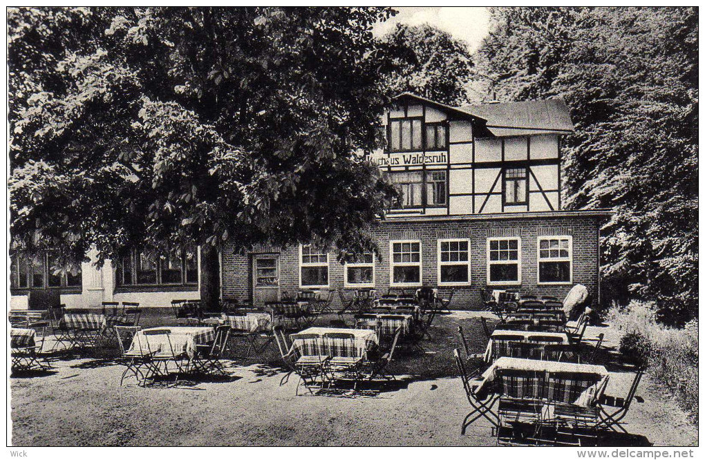 AK Ratzeburg I. Lbg. -Hotel Waldesruh - Ratzeburg