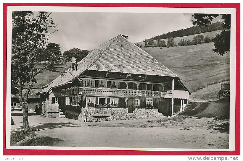 AK ´Todtnau / Todtnauberg´ (LK Lörrach / Schwarzwald)  ~ Um 1965 - Todtnau