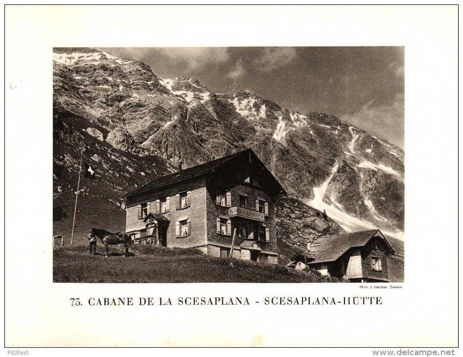 Original Ansicht/ Photographie Von 1927 , Scesaplana - Hütte , Seewis , Fanaz  Ca. 20x13 , Berghütte !!! - Seewis Im Prättigau