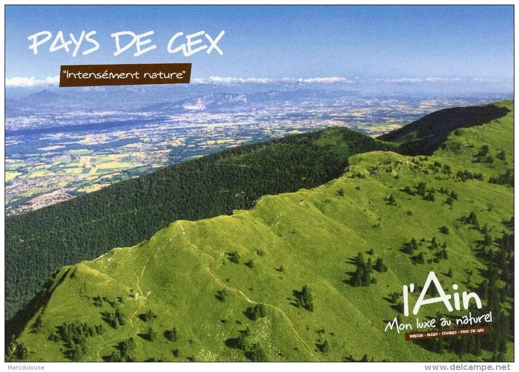 Pays De Gex. "Intensément Nature". L'Ain. Luxe Naturel. Réserve Naturelle De La Haute Chaîne Du Jura (Creux De L'Envers) - Gex