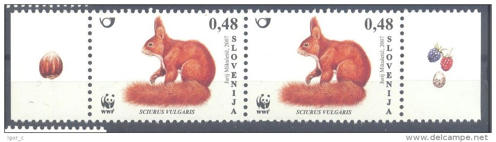 Slovenia Slovenie Slowenien 2007: Mi 636 Pair, WWF, FAUNA - Red Squirrel (Sciurus Vulgaris Linnaeus) ; Small Size MNH ** - Slowenien
