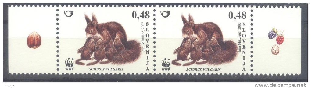 Slovenia Slovenie Slowenien 2007: Mi 640 Pair, WWF, FAUNA - Red Squirrel (Sciurus Vulgaris Linnaeus) ; Small Size MNH ** - Slovenia