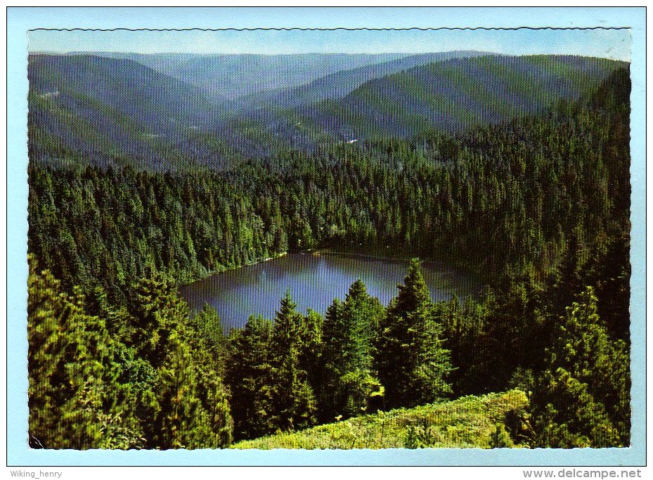 Baiersbronn - Wildsee Beim Ruhestein - Baiersbronn