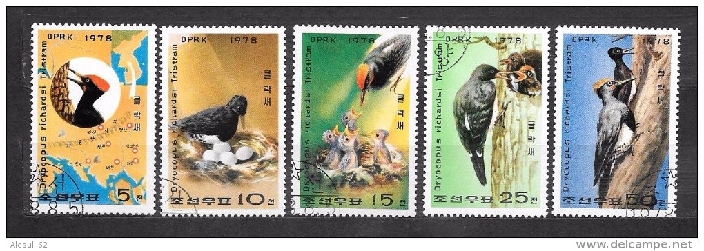 COREA  DPRK  N. 1502-1503-1504-1505-1506/US Lot Lotto - Piciformes (pájaros Carpinteros)