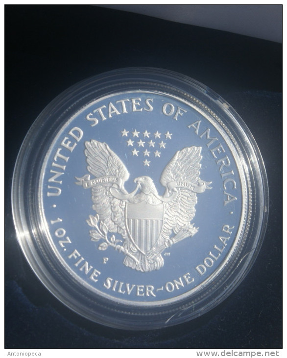 USA - 1995, SILVER AMERICAN EAGLE ONE DOLLAR - 1979-1999: Anthony