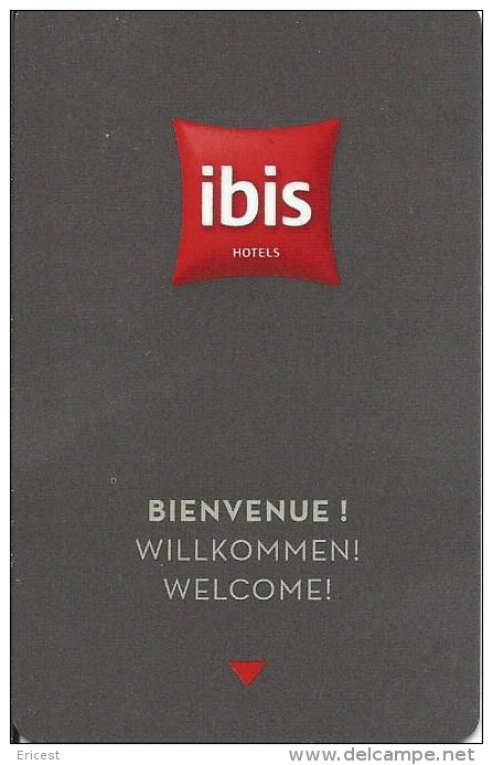 CLE HOTEL IBIS BIENVENUE PETIT LOGO ETAT COURANT - Hotel Key Cards