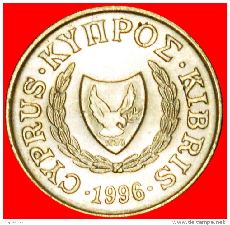 &#9733; GOATS: CYPRUS &#9733; 2 CENTS 1996! LOW START &#9733;NO RESERVE! - Chipre