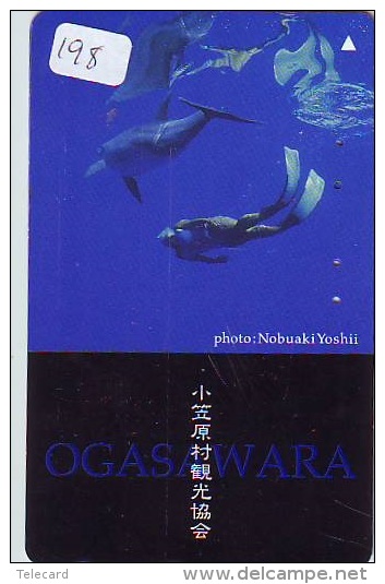 Télécarte JAPON * Plongée (198)  Phonecard JAPAN DIVING * CORAUX * CORAL * TAUCHEN * DUIKEN * OPENWATERDIVING PADI - Sport