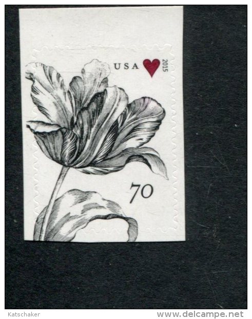 324333024 USA POSTFRIS MINT NEVER HINGED POSTFRISCH EINWANDFREI SCOTT 4960 Tulip And Heart Flora - Unused Stamps