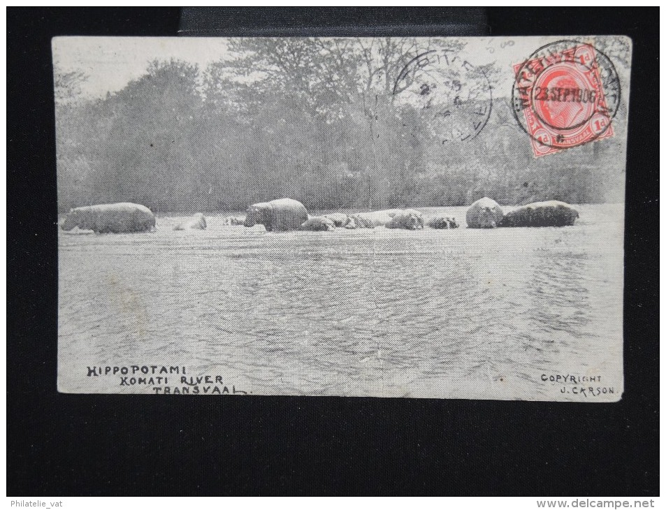 GRANDE - BRETAGNE - AFRIQUE DU SUD - Carte Postale Obl " Waterval Pour La France En 1906 - à Voir- Lot P8059 - Nueva República (1886-1887)