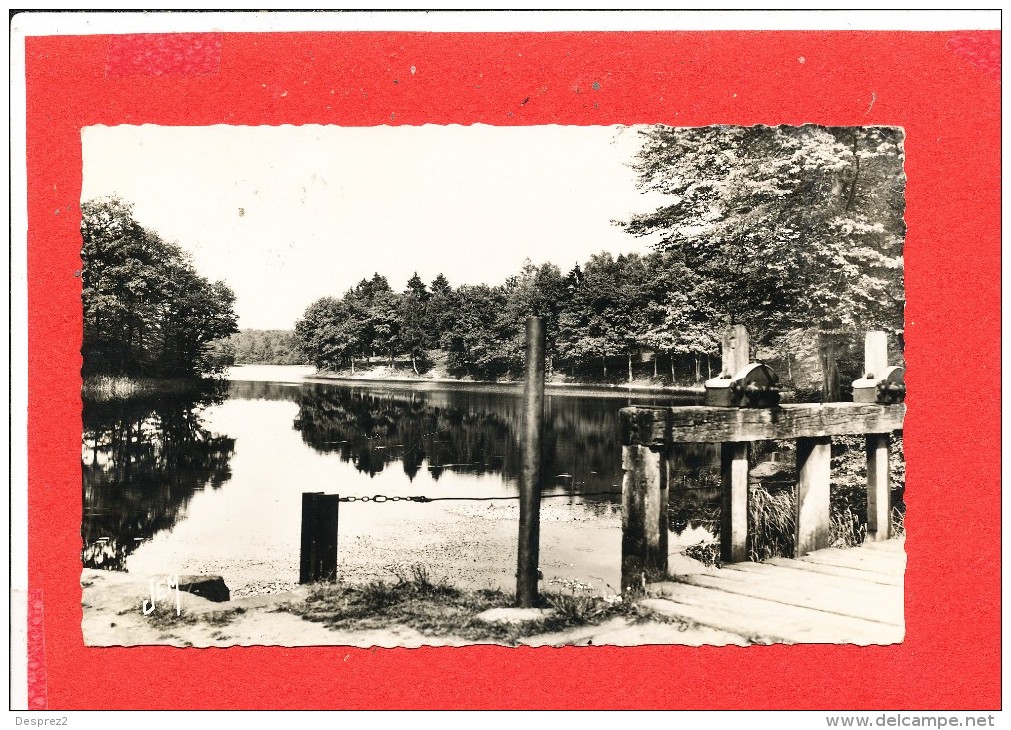 59 ANOR Cpsm Etang De La Galoperie              Coll Lobet - Autres & Non Classés