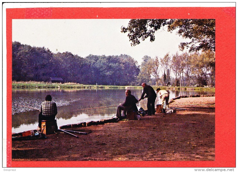 59 DOUCHY Les MINES Cp Animée Pecheur Etang Maingoval - Autres & Non Classés