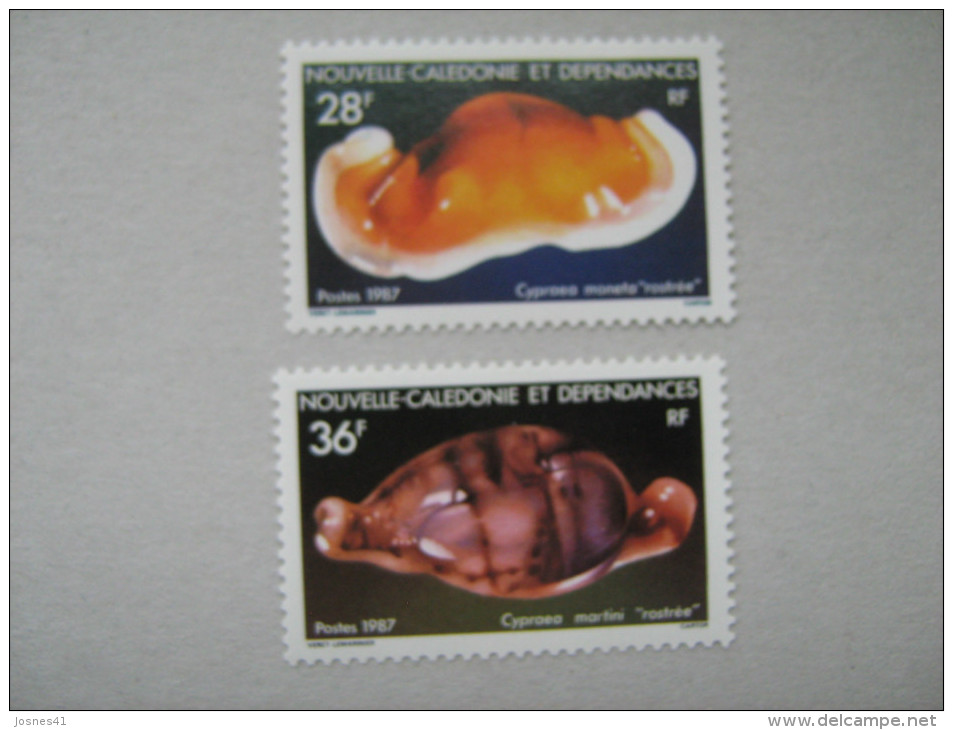 NOUVELLE CALEDONIE    P 538/539  * *   FAUNE COQUILLAGES - Unused Stamps