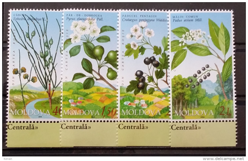 Moldova, 2004, Mi: 501/04  (MNH) - Geneeskrachtige Planten