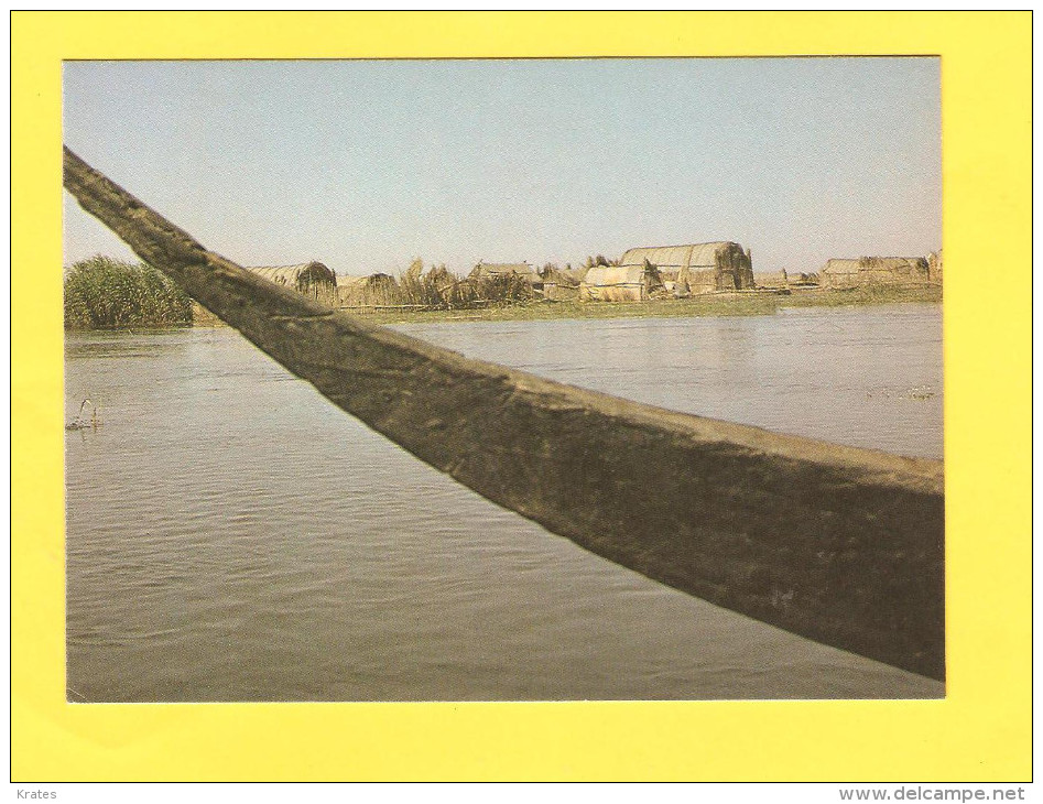 Postcard - Iraq     (V 25645) - Iraq