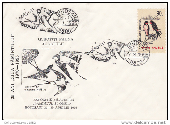 24231- SWALLOWS, BIRDS, SPECIAL COVER, 1995, ROMANIA - Zwaluwen