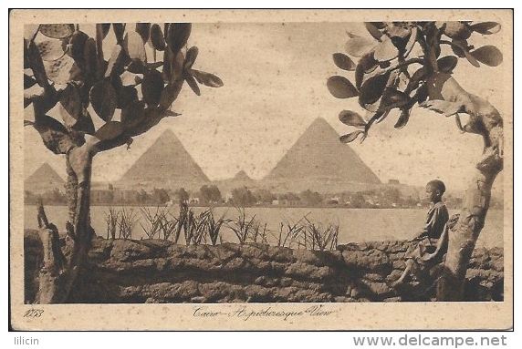 Postcard RA004315 - Egypt (Egipat / Agypten / Egitto / Misri) Giza (Gizah / Gizeh / Jizah) - Guiza