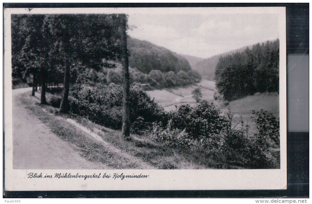 Holzminden - Blick Ins Mühlenberger Tal - Holzminden