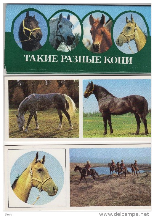 USSR  1988 Set 15 NEW  Cards  Horses Chevaux Horse Cheval Caballos Cavalli Paarden Pferde - Pferde