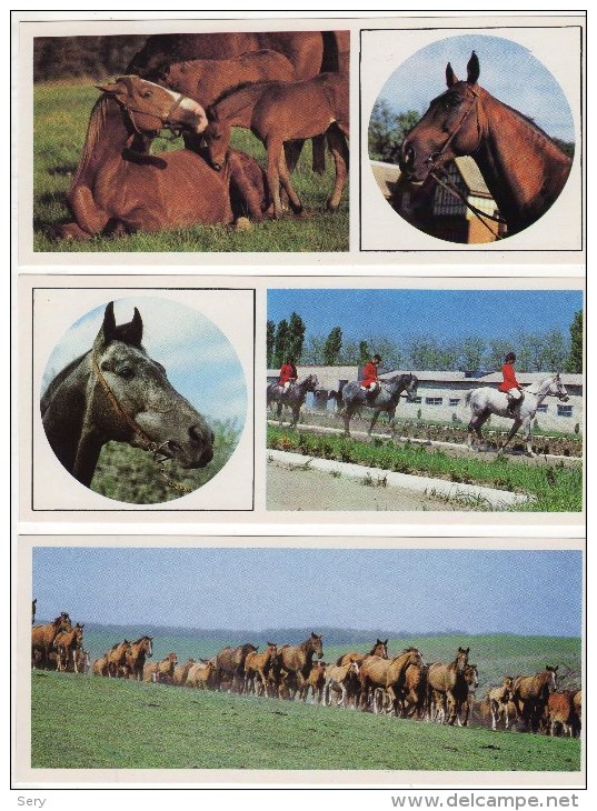 USSR  1988 Set 15 NEW  Cards  Horses Chevaux Horse Cheval Caballos Cavalli Paarden Pferde - Pferde