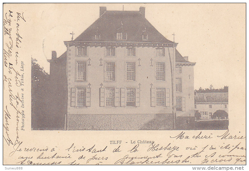 Tilff - Le Château (phototypie Dethne De Tilkin, 1900) - Esneux