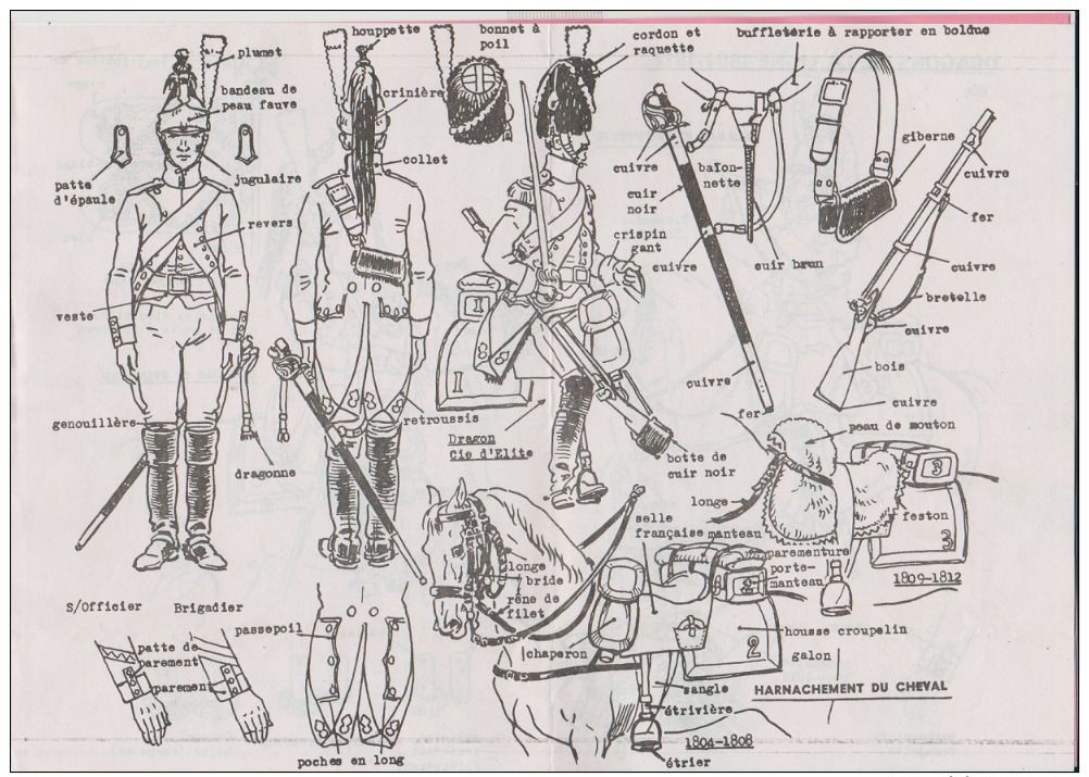 Historex - TENUES - Documentation - Dragons De La Ligne (1804-1812)  N° 8 - Uniforms