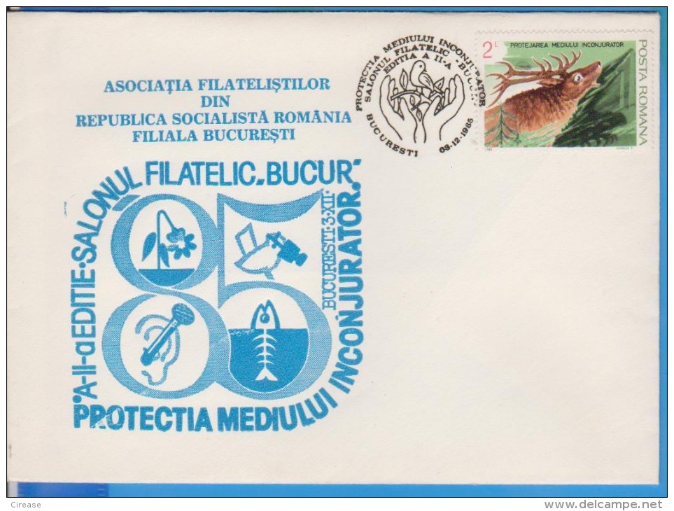 ENVIRONMENTAL PROTECTION, STOP ENVIRONMENTAL POLLUTION ROMANIA COVER - Polucion