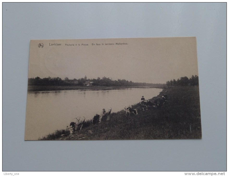 LANKLAER Pêcherie à La Meuse En Face Le Territoire Hollandais - Anno 19?? ( Zie Foto´s Voor Details ) !! - Dilsen-Stokkem