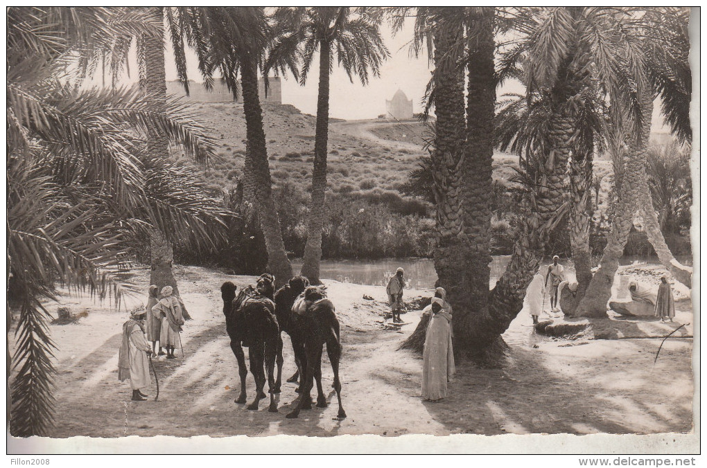 ZIMBABWE - Scènes Et Types D'Afrique Du Nord - La Halte Dans L'Oasis (carte Dentelée) - Simbabwe