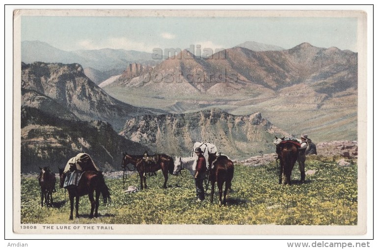 THE LURE OF THE TRAIL - US SOUTHWEST SCENIC SCENE~MEN WITH HORSES ~c1910-20s Detroit Publishing Postcard [5929] - Rochester