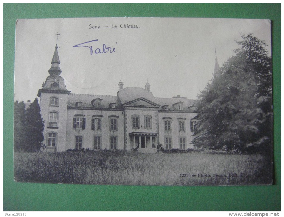 SENY - Le Château ( TINLOT ) - Tinlot