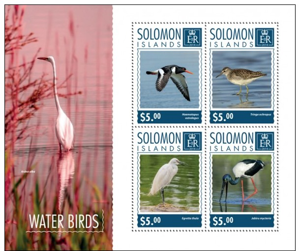 SLM14710a SOLOMON ISLANDS 2014 Water Birds MNH Mini Sheet - Solomon Islands (1978-...)
