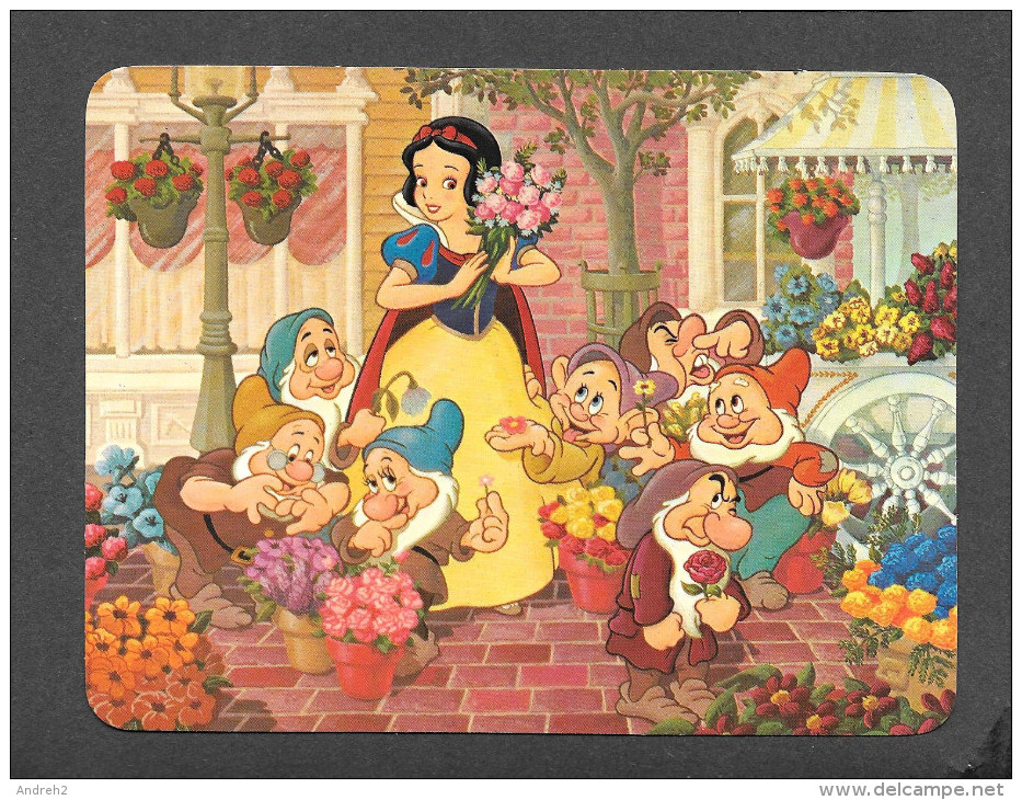 ORLANDO - FLORIDA - FLORIDE - SNOW WHITE'S FANTASY BOUQUET -  BY WALT DISNEY PRODUCTION - Orlando