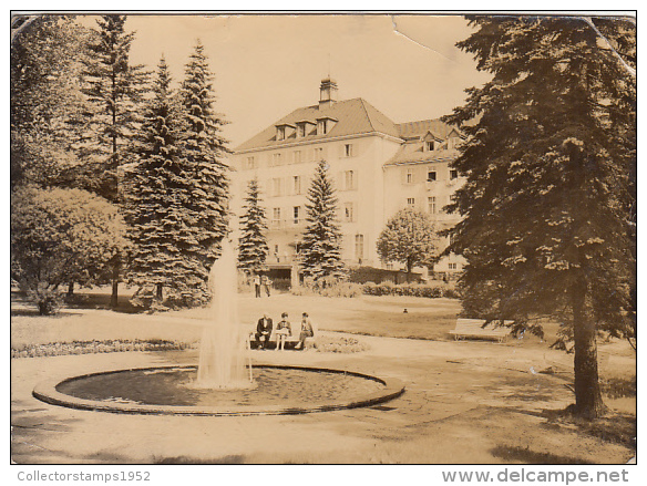 24579- BAD BRAMBACH- SPA TOWN, JOLIOT CURIE SANATORIUM, FOUNTAIN - Bad Brambach