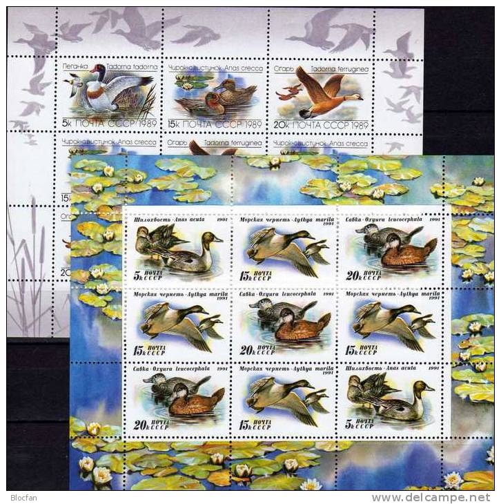 WWF Enten Gänse 1989/1991 Sowjetunion 5965/7+6210/2 KB ** 15&euro; Spießente Gans Bird Set Duck Sheetlet Bf USSR CCCP SU - Collections