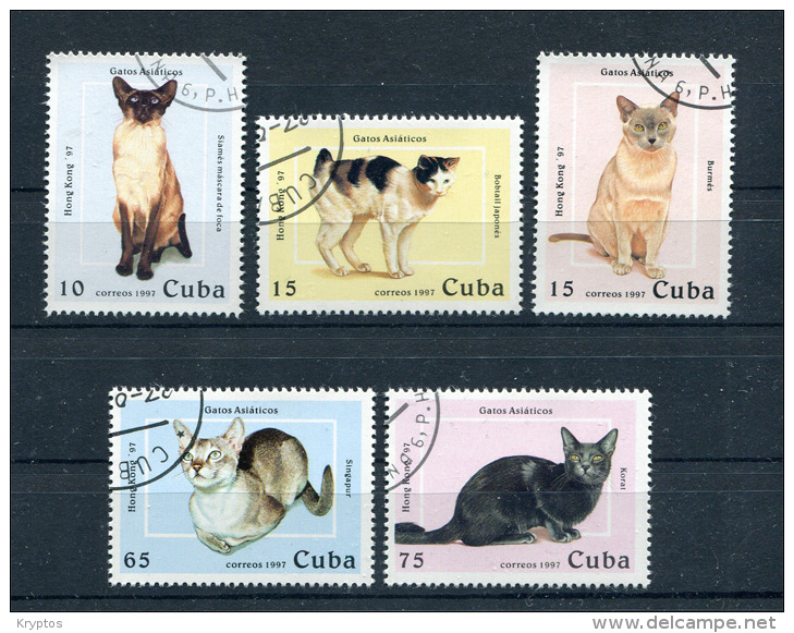 Cuba 1997 - Cats - Complete Set - 5 Stamps - Usati