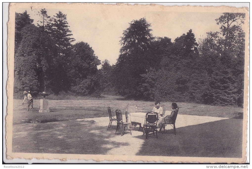 METTET : S.V.V. Home "De Sinjoorkens" - Terras En Park - Mettet