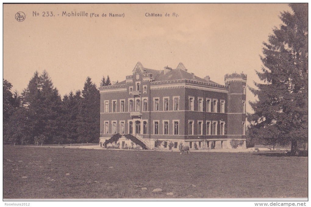 MOHIVILLE : Château De Ry - Hamois