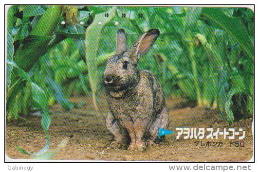 ANIMALS - RABBIT - JAPAN 02 - 110-011 - Conejos