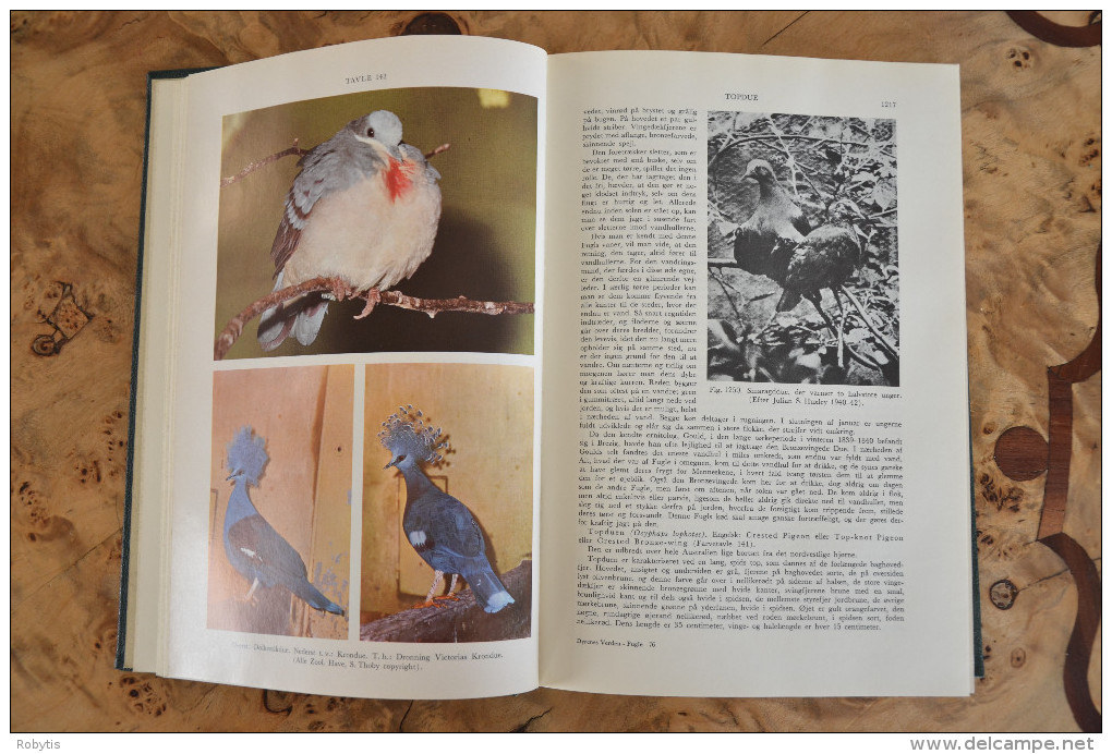 Scandinavian The Book About Birds Owl Eagle - Idiomas Escandinavos