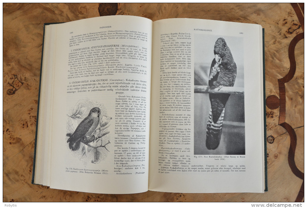 Scandinavian The Book About Birds Owl Eagle - Langues Scandinaves