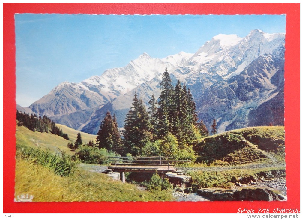 74 - LES CONTAMINES  - MONTJOIE  - LE MASSIF DU MONT BLANC DEPUIS LE COL DU JOLY - Contamine-sur-Arve