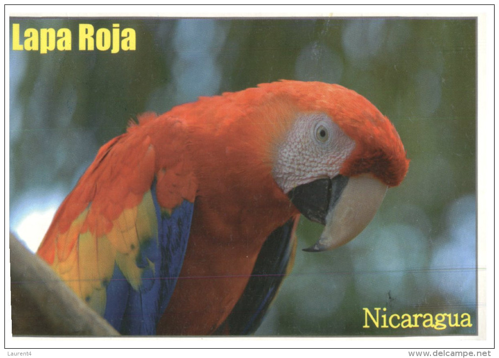 (PH 914) Nicaragua Parrot (with Stamps At Back Of Card) - Oiseaux