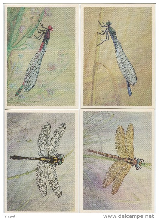 Dragonflies - Complete Set Of 16 - Insectos