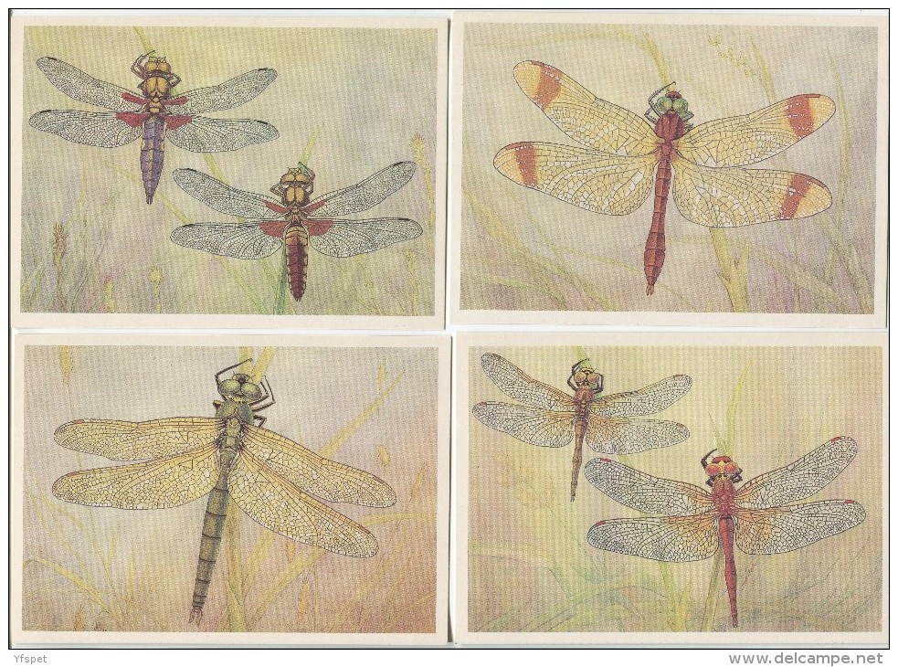 Dragonflies - Complete Set Of 16 - Insectos