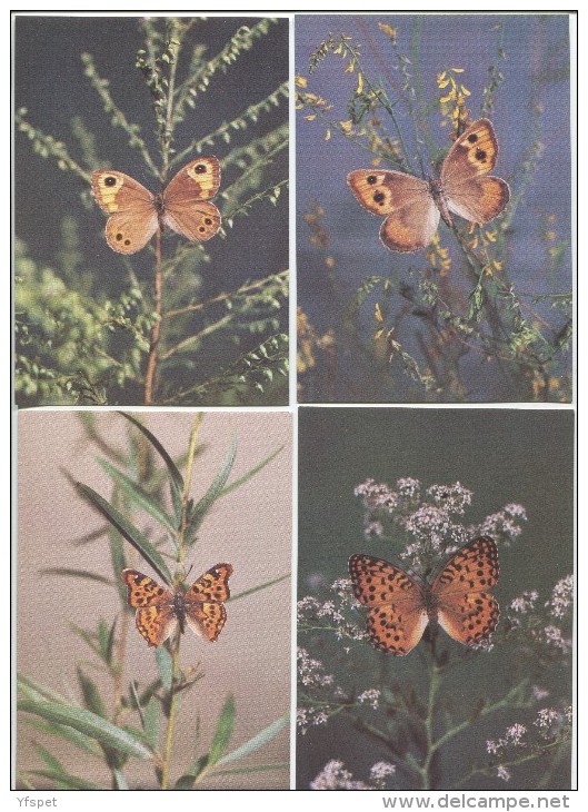 Butterflies - Complete Set Of 18 - Papillons